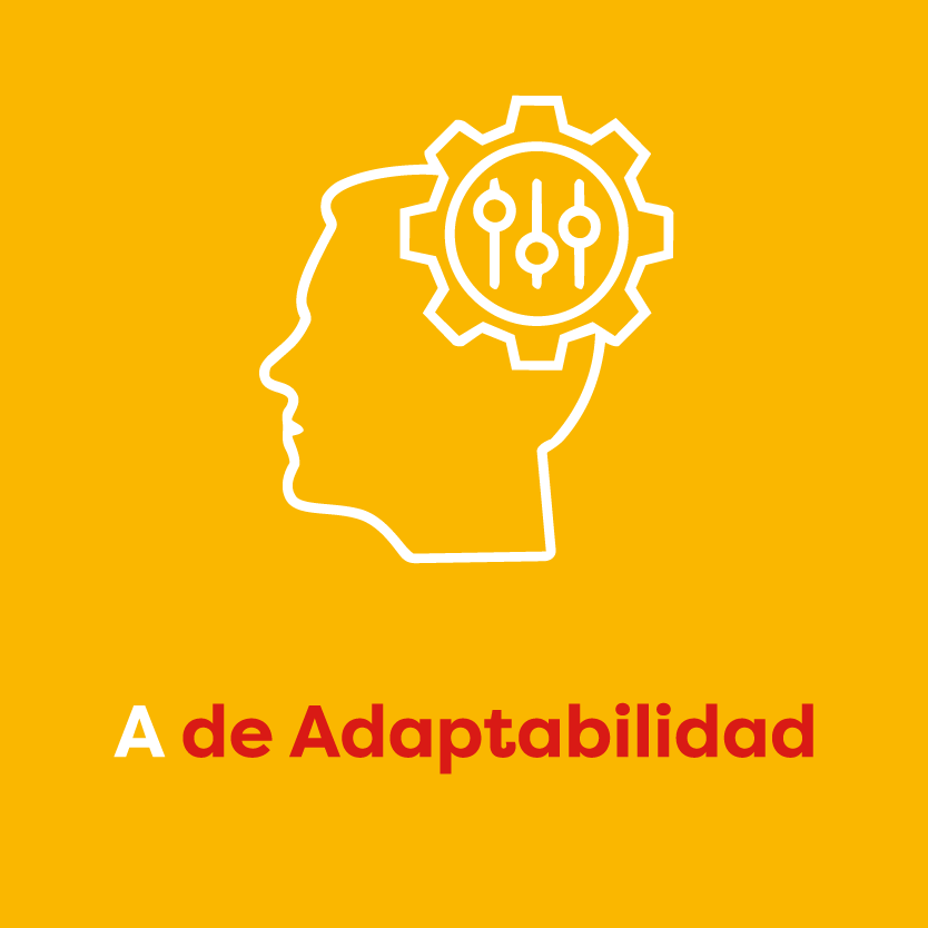 Adaptabilidad